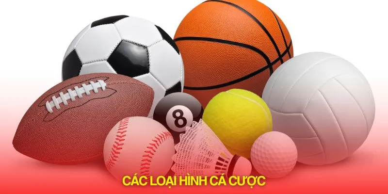 Đa dạng các loại hình cá cược thể thao