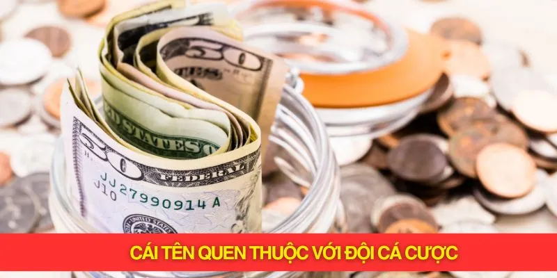 Hello88 - cái tên quen thuộc với hội cá độ cá cược